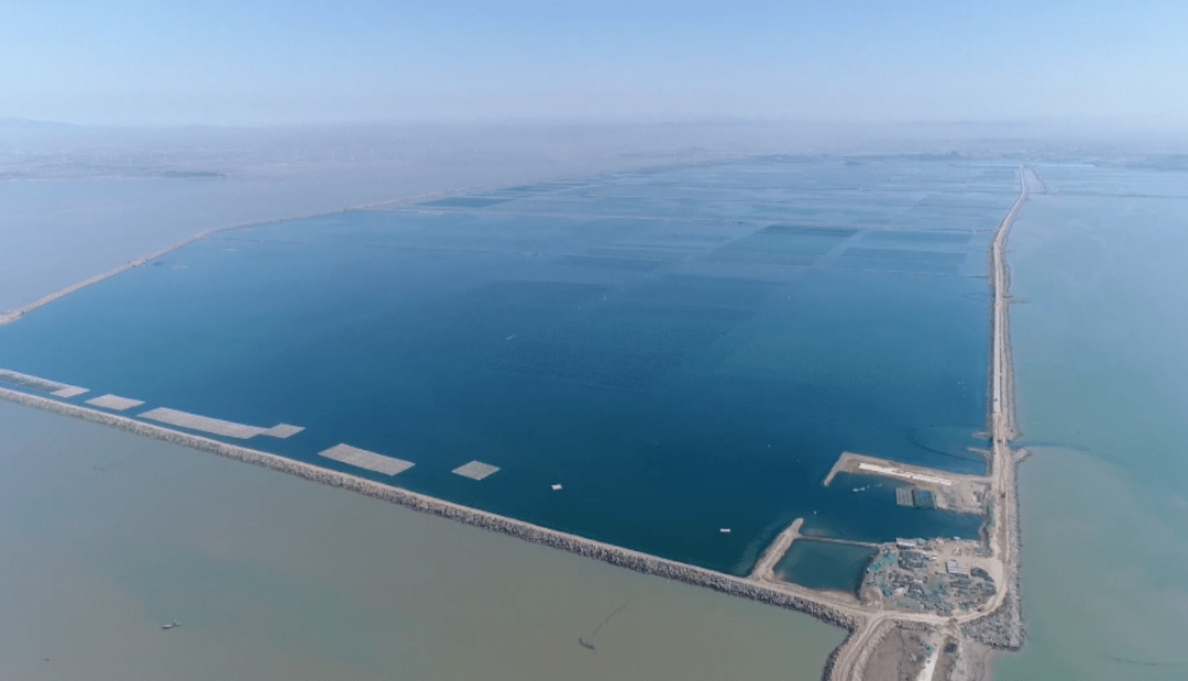 好海参源自好环境丨走进好当家天海湾海洋牧场