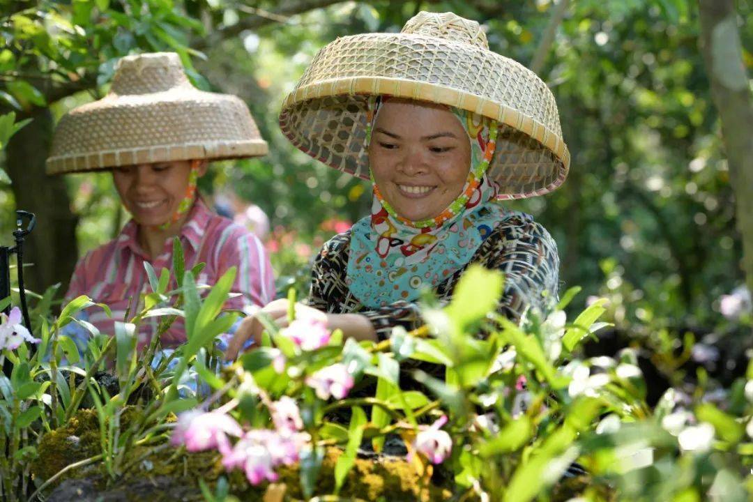 新华社这样报道海口施茶村→_海南岛