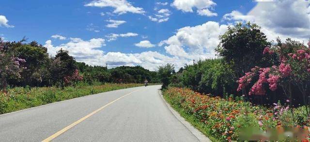 汉中风景路图片