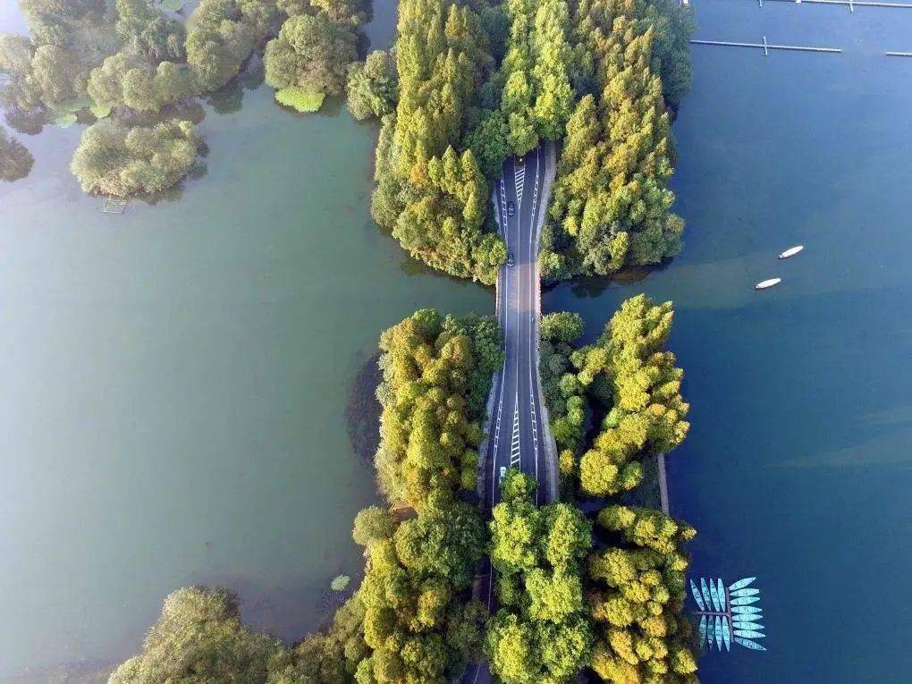 让文物活起来之花港篇丨景行古桥——杨公堤六桥中唯一保存至今的古桥