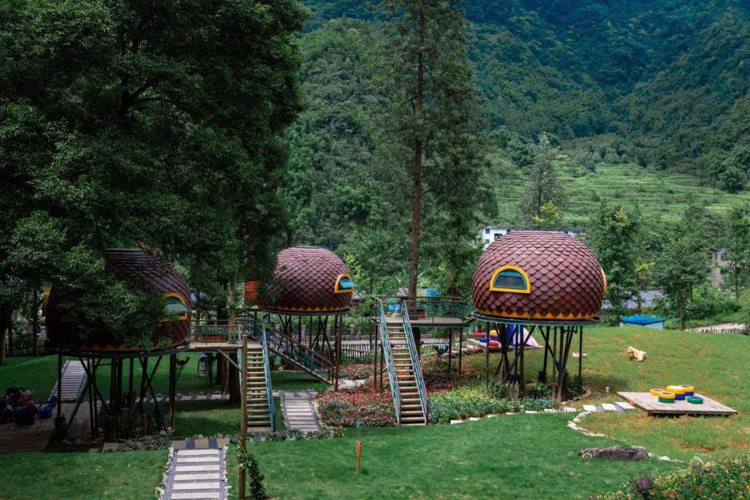 重庆再增一处星空露营是驴友福音没错了