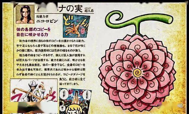 海贼王中动物系恶魔果实能力觉醒或许才是最实用的