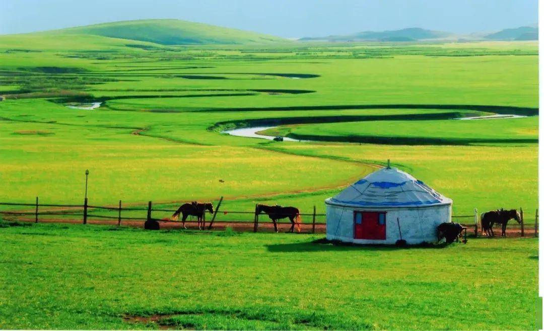 听风|《呼伦贝尔大草原》_蒙古
