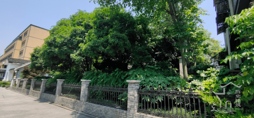 足不出户逛杭城第十八期深藏闹市中花开又一春探秘杭州名园丁家花园