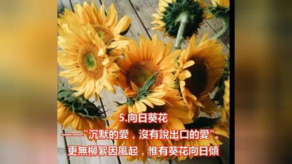 世界十大最悲伤的花语彼岸花只能排第二看完眼泪止不住