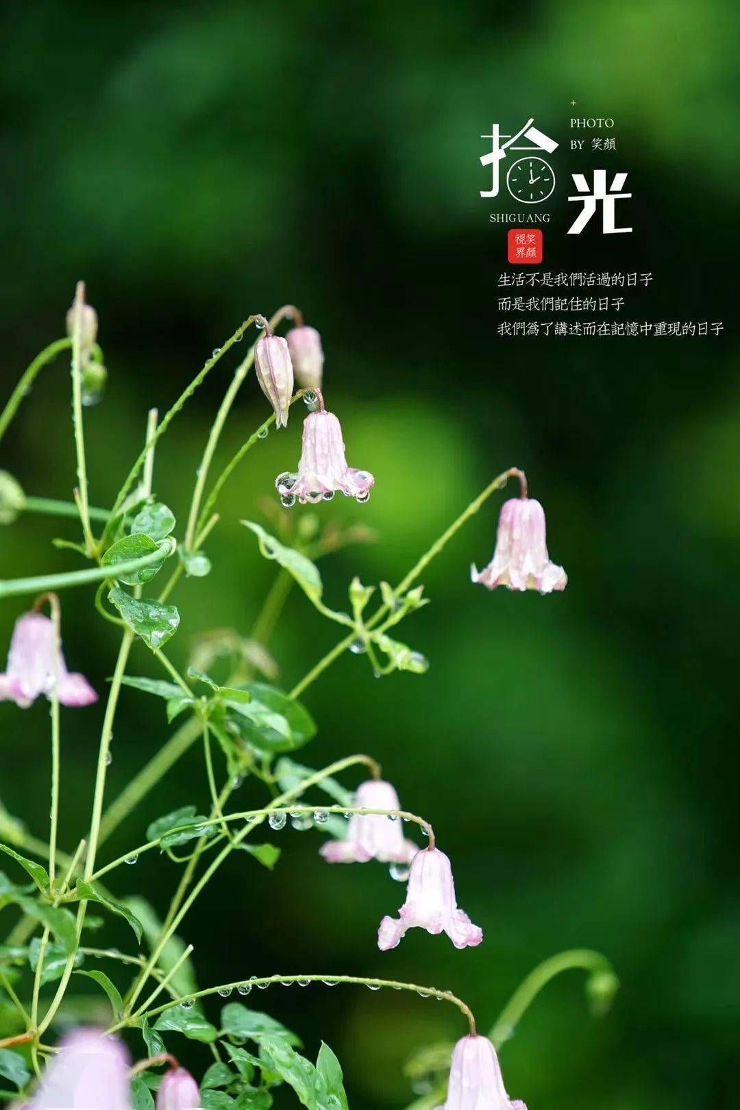 大暑三秋近 林钟九夏移