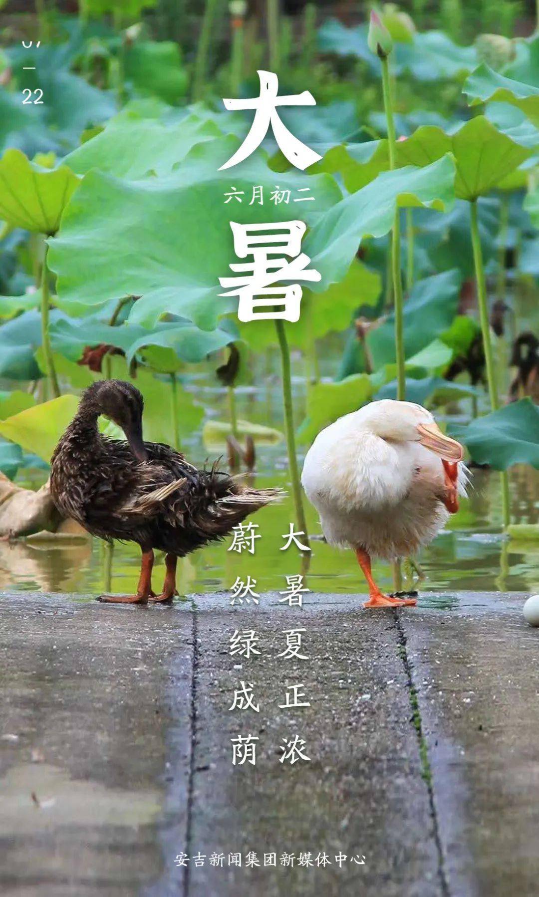 大暑已至安吉是否会开启持续高温模式?