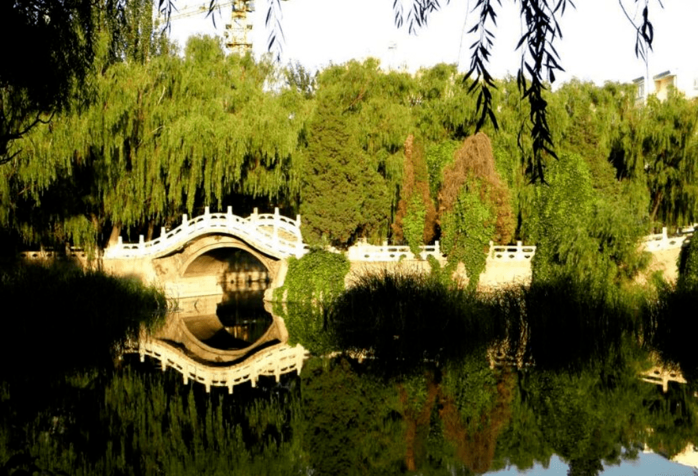 下花園區建成了北城區3個城市花園,完成水泉公園改造提升,建設了16多