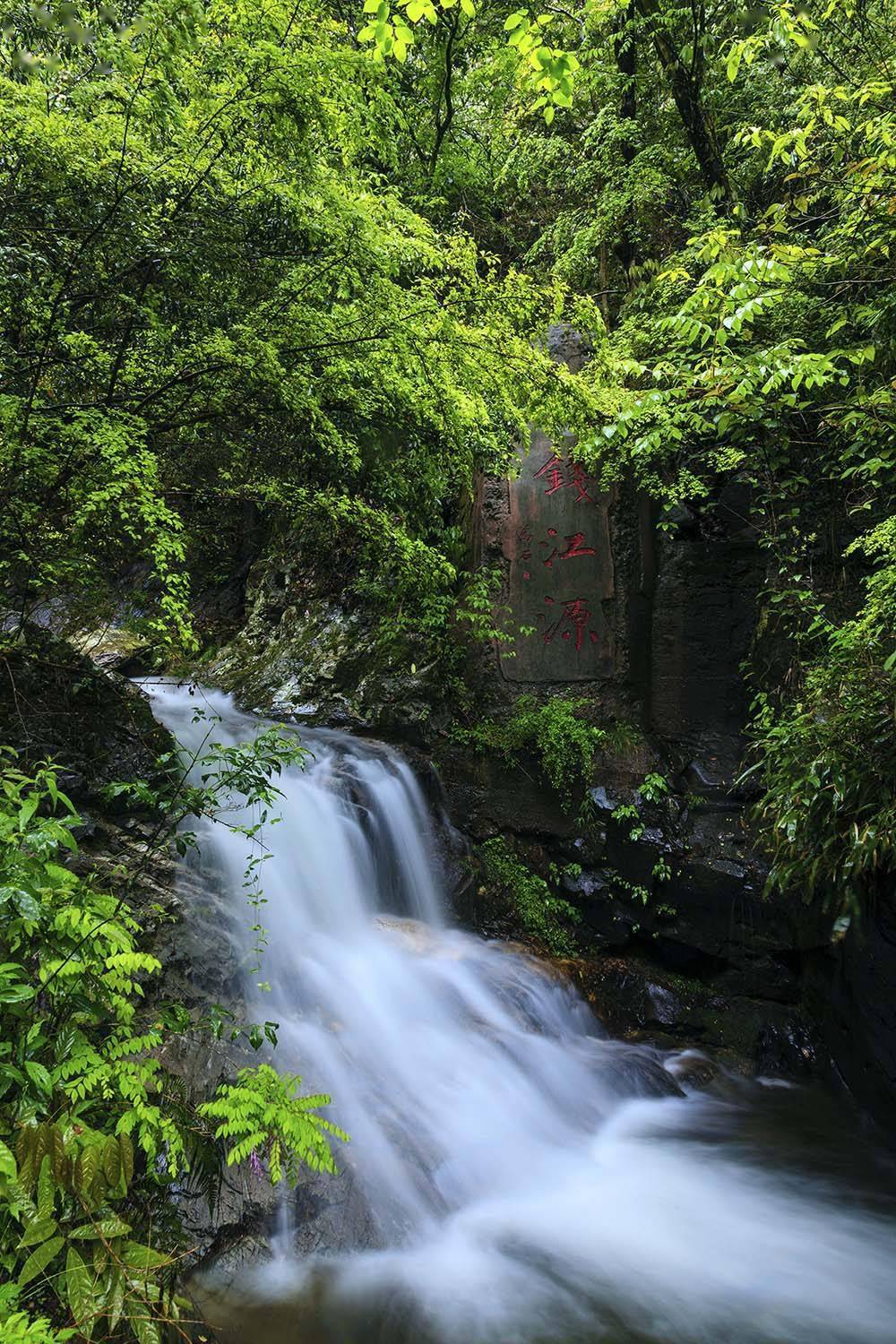 钱江源国家公园:做好"加减乘除"四篇文章_自然资源