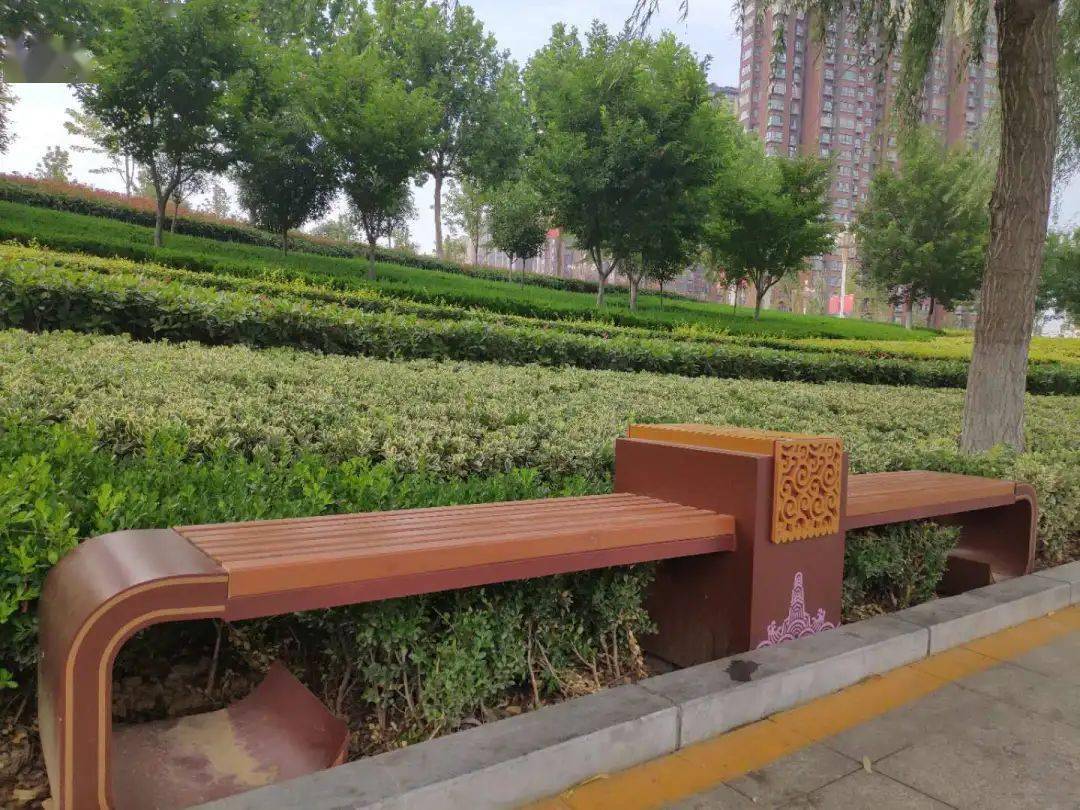汤阴马路添置了"新家具",你注意到了吗?_城市