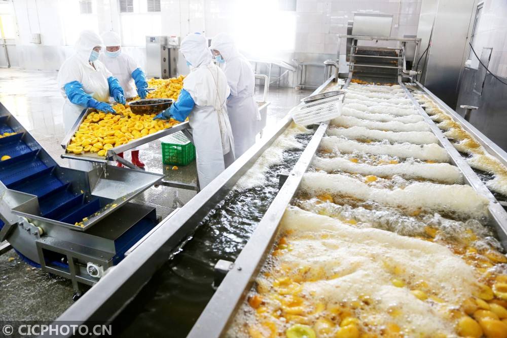 睢宁食品行业的悄然转型与未来走向