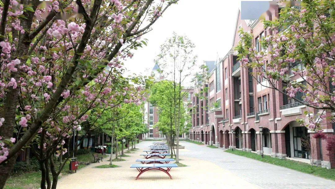 即日起～贵阳乐湾国际实验学校招收少量高三复读生