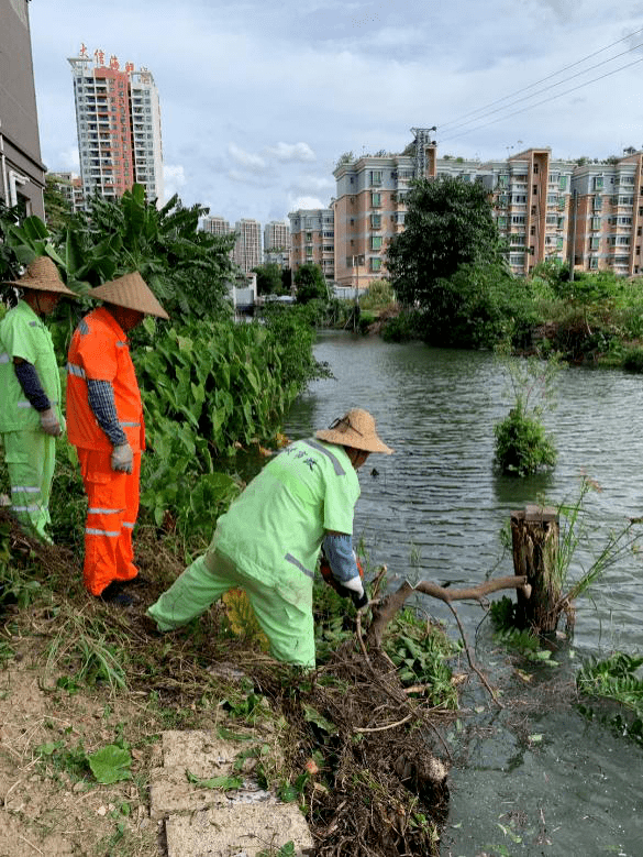 【黑臭水体治理】告别黑臭!石岐区首条河涌完成"变身"