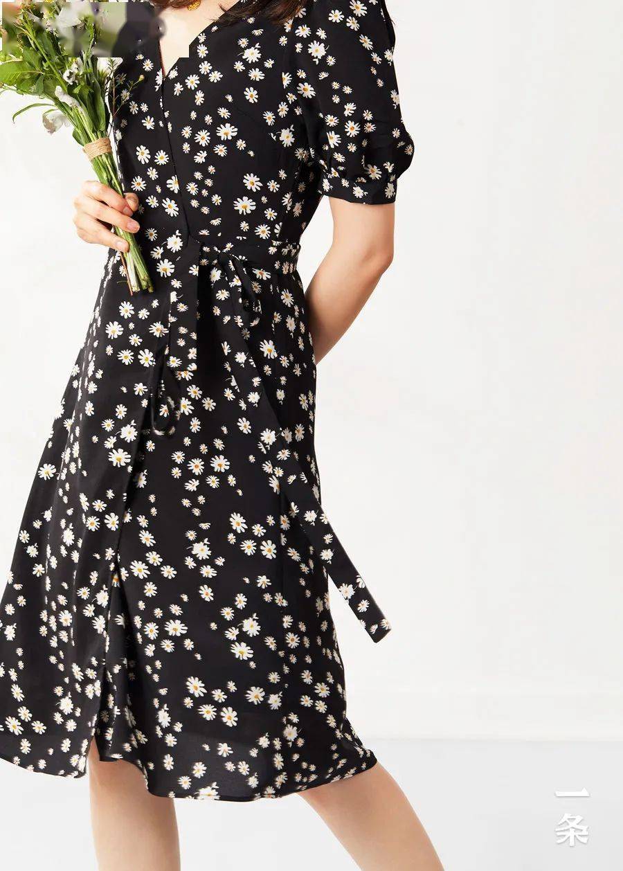 小雏菊植物图片源自网络 今天推荐两款小雏菊图案的半身裙,连衣裙.