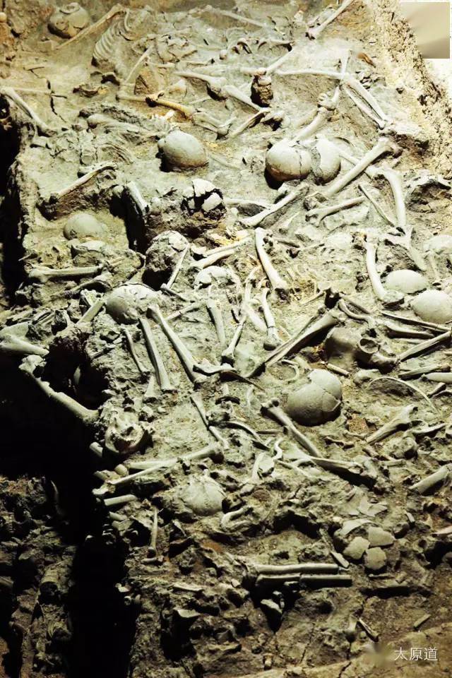 长平悲歌白骨高于太行雪