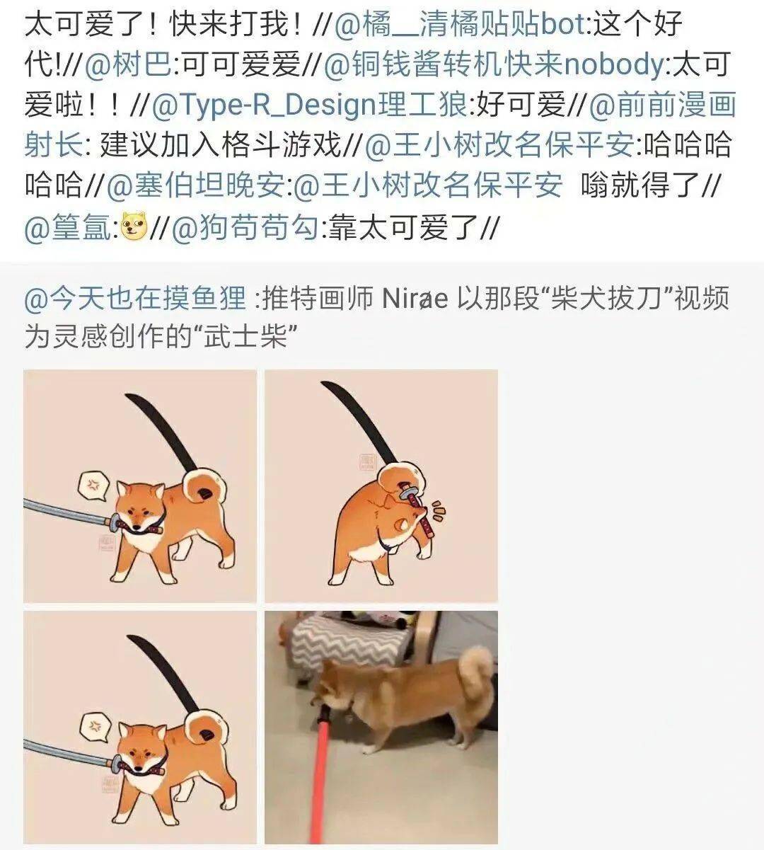 可爱挑战可爱的狗狗意外变成了武士拔刀的样子都抵挡不了他的可爱