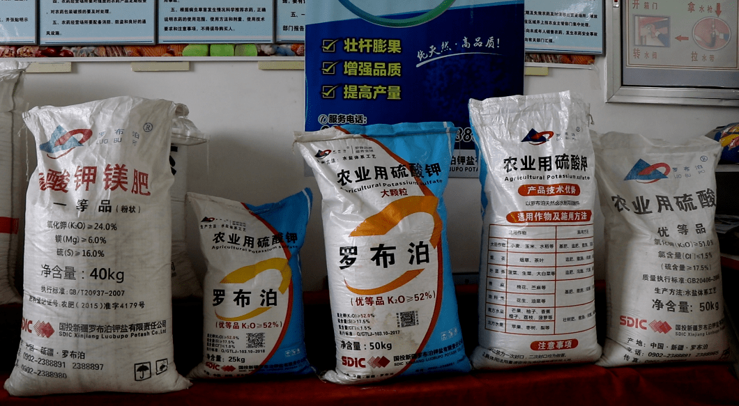 农林卫视中国农资秀携手国投罗钾走进石河子补钾补来高品质