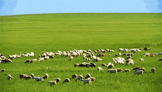 640_364gif 动态图 动图