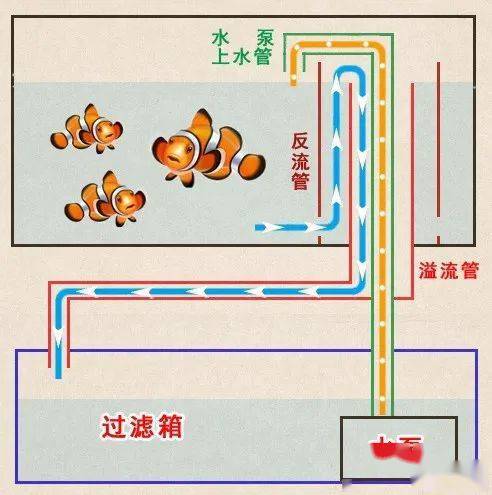 底滤鱼缸循环系统图解图片