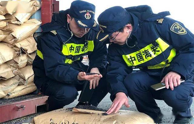 全民普法丨强化进口固体废物管理的"七种武器"_海关