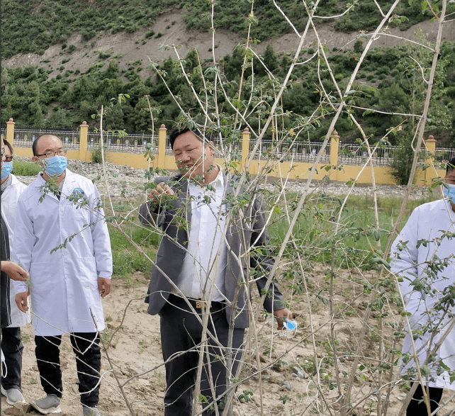 大师,中国管理科学研究院行业发展研究所高级研究员平措绕吉等专业