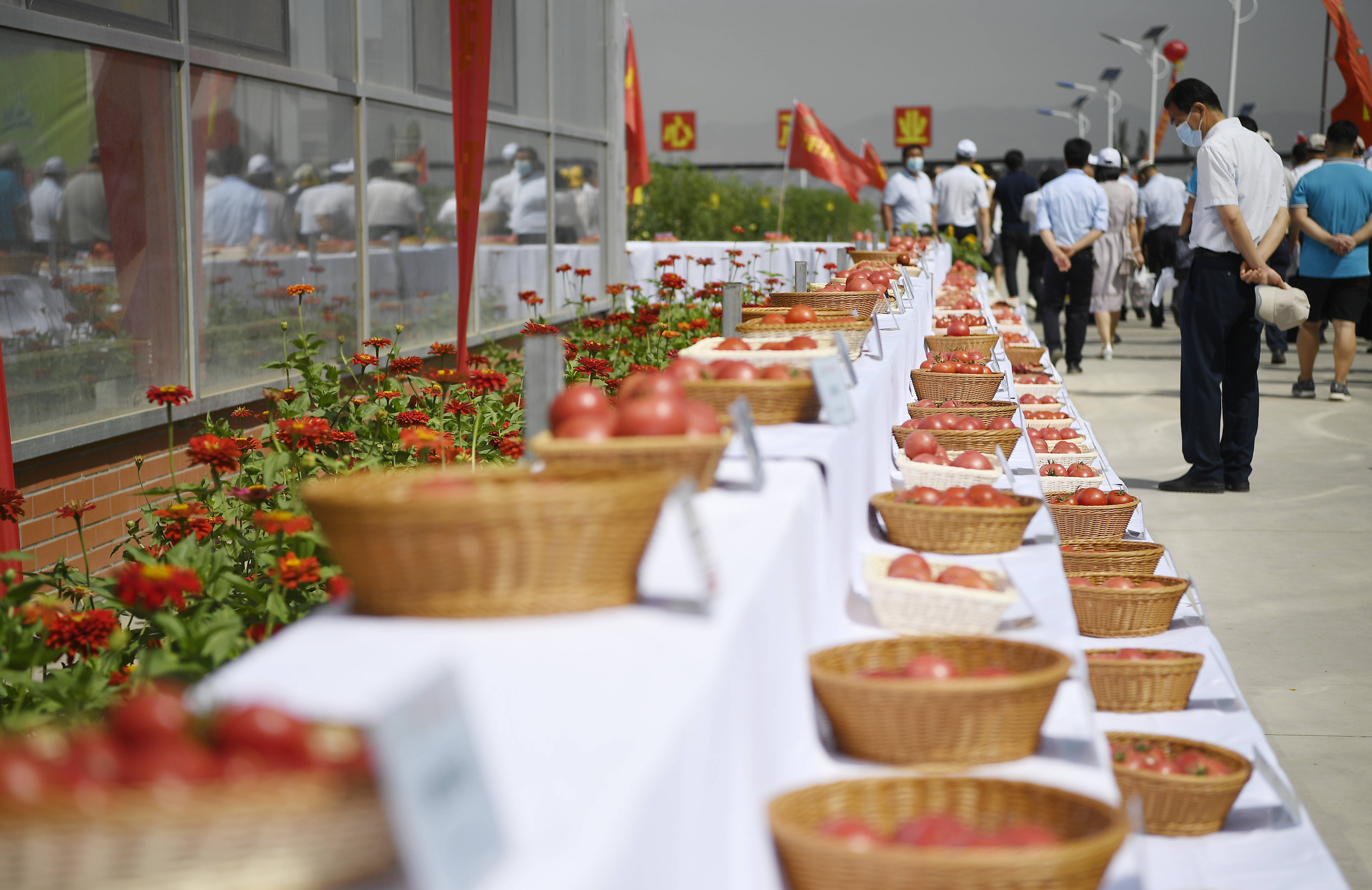 7月27日,参会者在展览现场观看由不同种子培育出的西红柿产品.