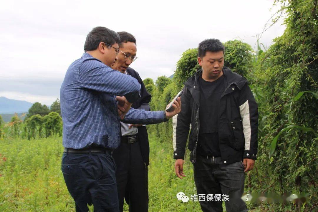 end编辑:李燕审稿:赵志忠审核:李光明 和剑元