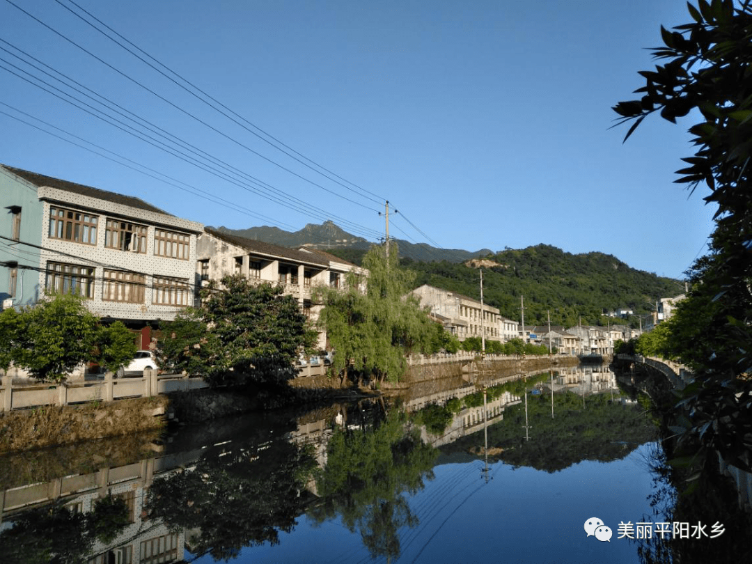 平阳 鳌江镇西塘社区在美丽田园上写下"五水共治"新篇章