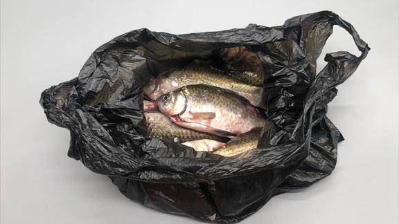 买鱼时为什么鱼贩子都用黑色塑料袋其中隐藏的猫腻很多人不懂