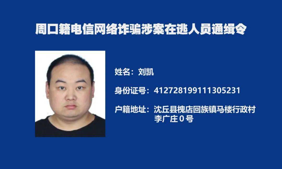 5人自首6人抓获项城还有1名电信诈骗犯在逃