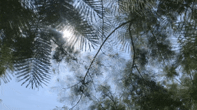 400_225gif 动态图 动图