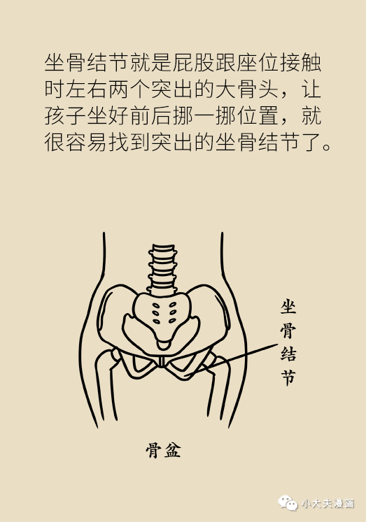 坐骨结节的位置示意图图片