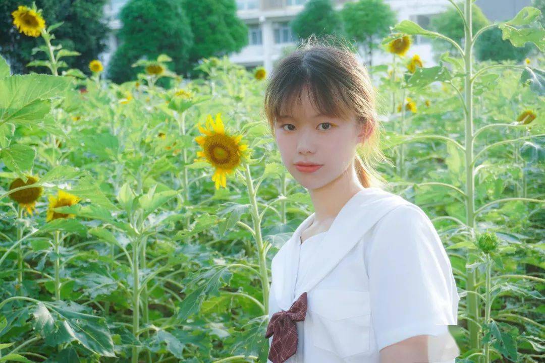 03 陈子玉《南职晚霞》↑02 吴远志《金葵湖》↑01