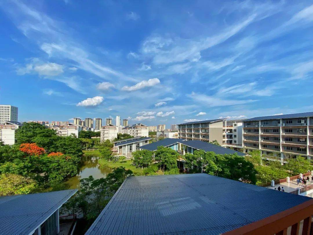 南职之美摄人心魄就问你pick谁上