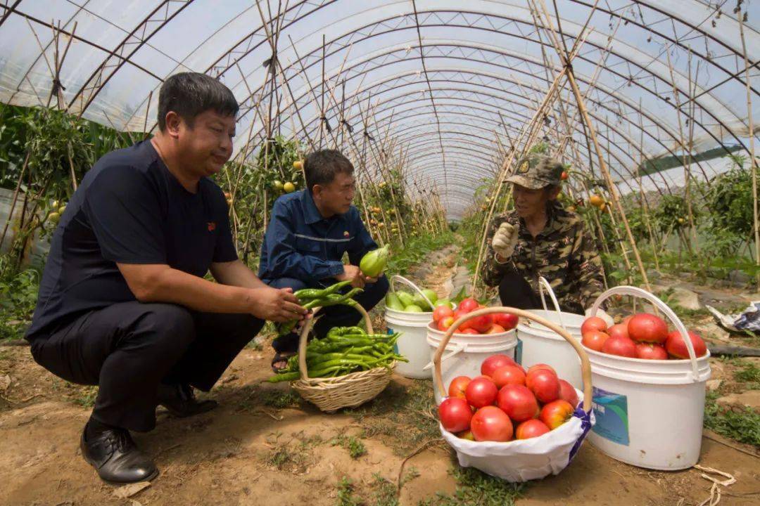 大西沟村一天一个样儿走向我们的小康生活