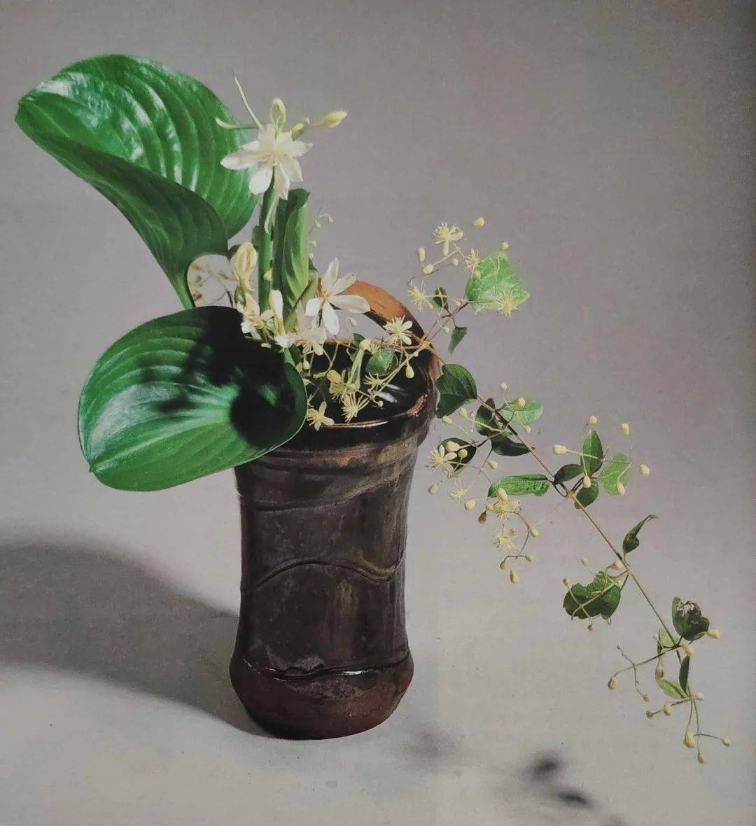 玉簪,白色小野花,玉簪花叶花器:陶瓶花型:小品心象造型释义:逭暑插花