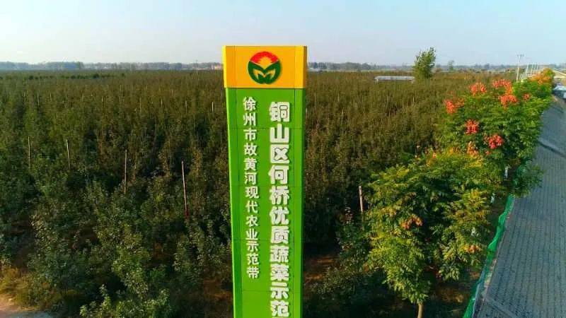 建起万亩土豆产业园,上海外延蔬菜基地,食品深加工厂房,休闲观光园等