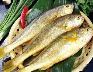 《嘉泰会稽志记》有:"在余姚濒海以桃花开时为绝胜.