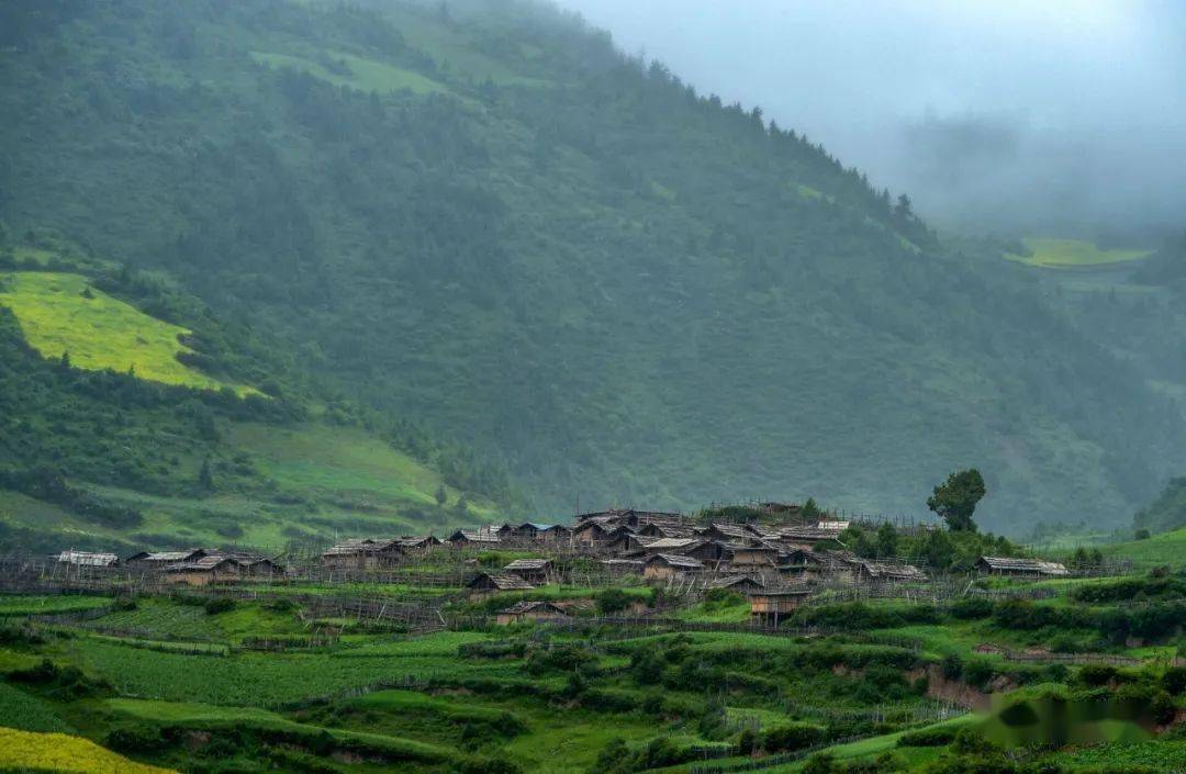 达益,又称洋布,位于迭部县多儿乡境内最南部,平均海拔2900—4200米,年