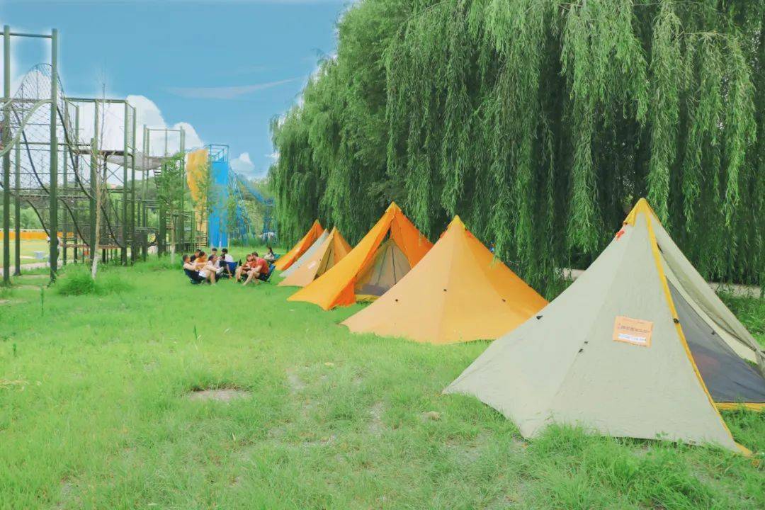 精致露营探户外丛林秘境夜宿星空语蝉鸣