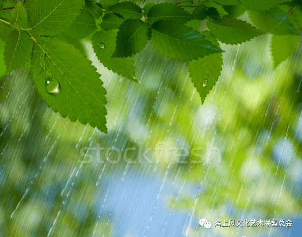 夏天的雨落在古詩詞裡編審藍天總監涵馨