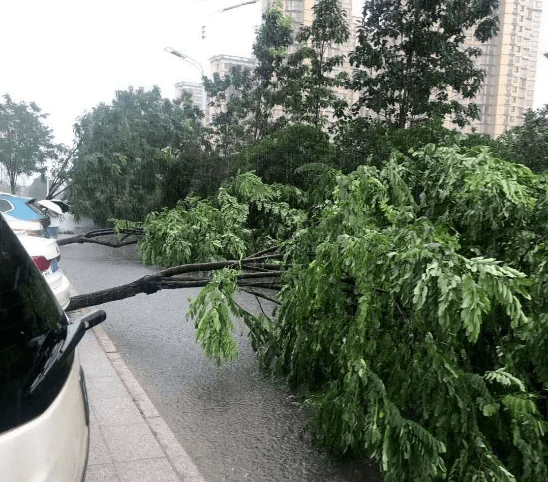 界首一户人家落地窗昨被大风吹落!