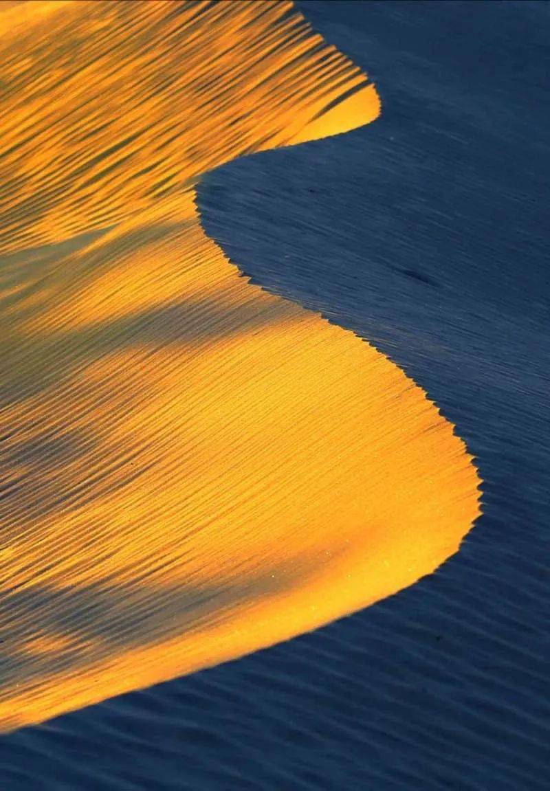 每周摄影精选 | 2020年7月第4周