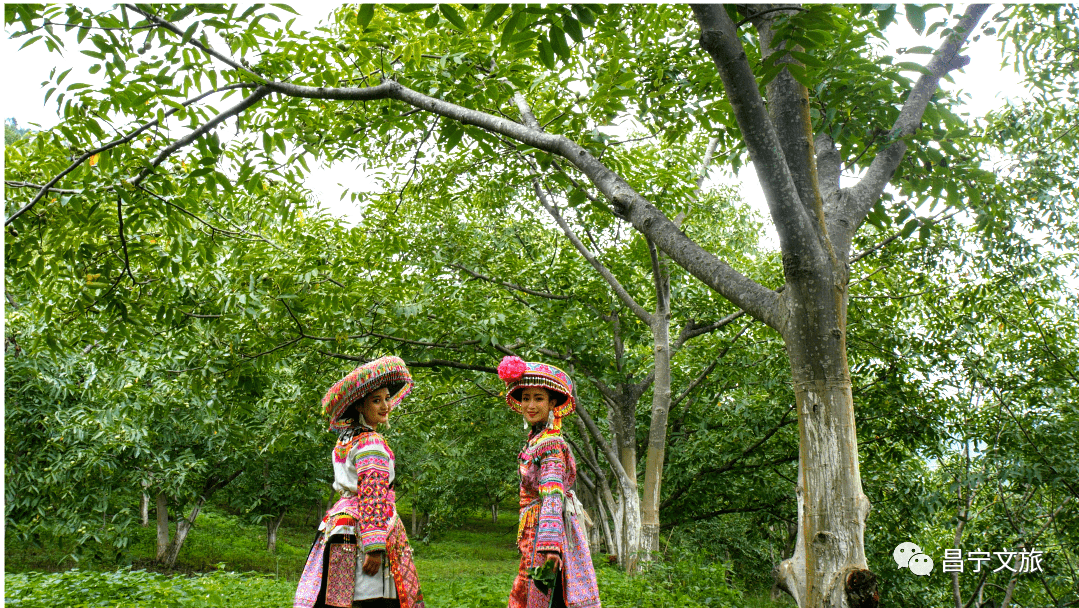 昌宁苗族服饰 | 约吗?带您走进世间最美的国家级千年非遗