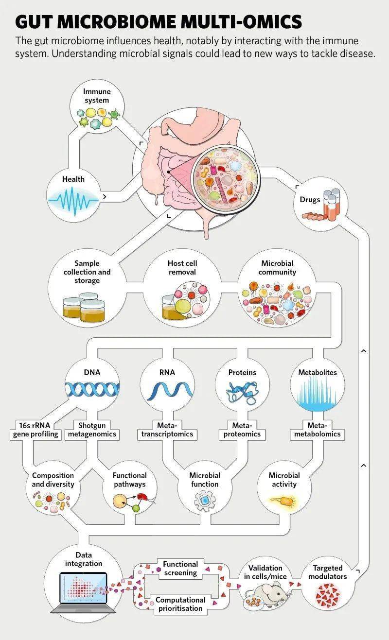 nature灵魂问:微生物组数据一大堆,如何能改变人类健康?