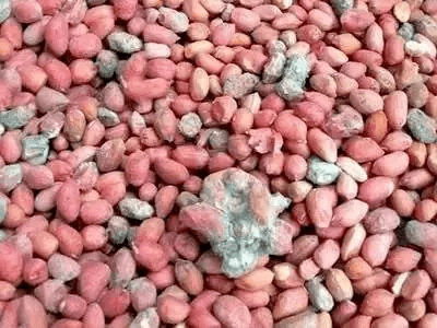 往花生油里加一种特制的香料,而这种香料竟也是用发霉,发臭的