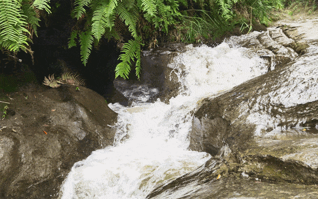 640_400gif 动态图 动图