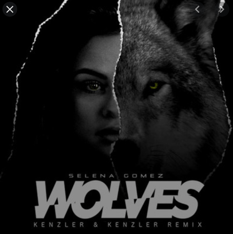 聽歌學英文wolves