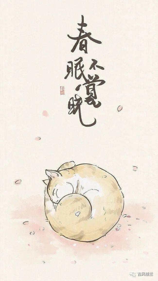 二十四节气猫咪图