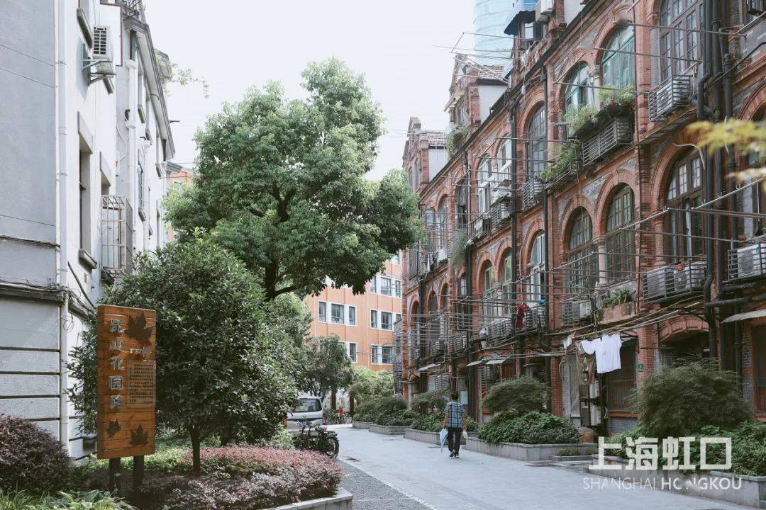 从车水马龙的四川北路,走进这处深藏闹市一隅的静谧街区,树影婆娑